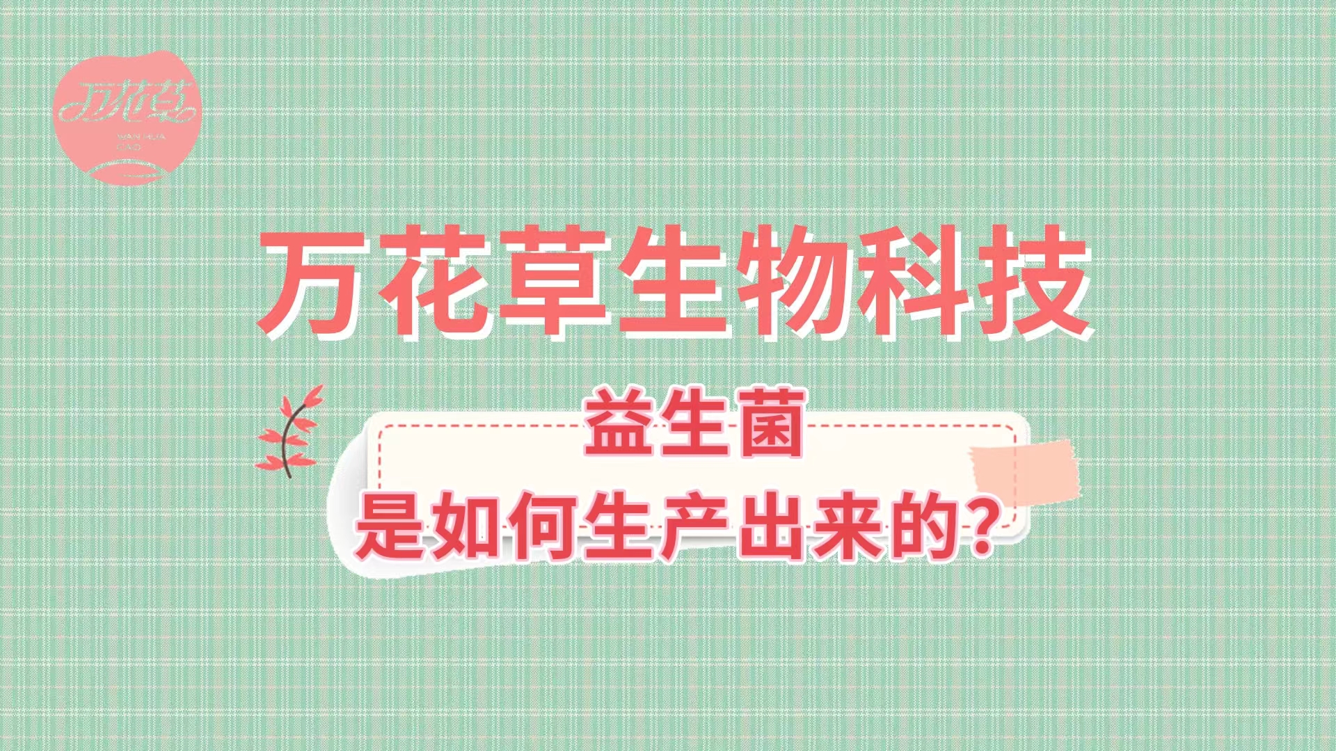 帶您了解益生菌是如何生產(chǎn)出來(lái)的,好的廠家哪里找？